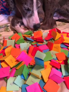 What Makes You Happy? | Introducing Neily's Happiness Jar happiness-jar-post-slips-of-paper-and-lex